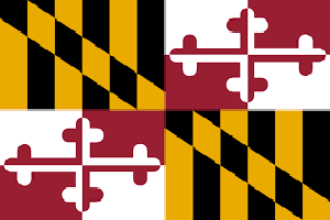 Maryland IT Support Services