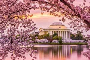 Washington DC IT Support Services