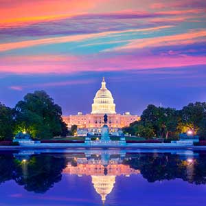 Washington DC IT Support Services