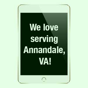 Annandale IT Support Services