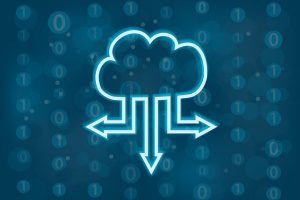 a different version of the hybrid cloud model