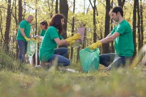 Volunteers in green T-shirts clean up the plastic trash in the p