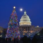 Traditional Christmas Tree and Capitol Building at night - Washington D.C. United States of America