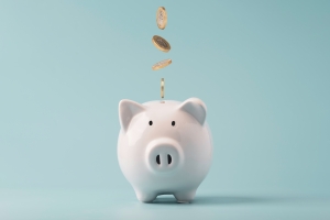 it security savings